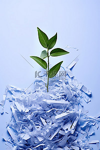 环保循环使用背景图片_撕碎的纸片，后面藏着一个小绿芽