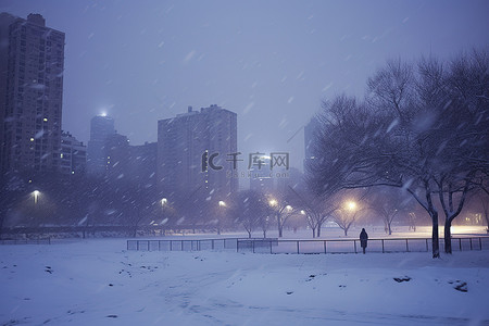 雪花落在白雪皑皑的公园里