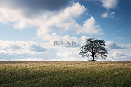 安大背景图片_一棵孤独的树坐落在一片被云包围的大田野的边缘