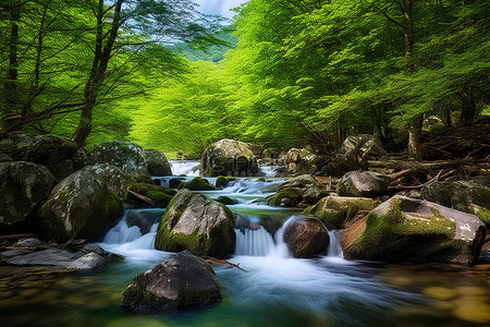 溪流瀑布背景图片_森林溪流和瀑布