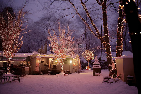 灯光照明背景图片_雪中​​的树照明