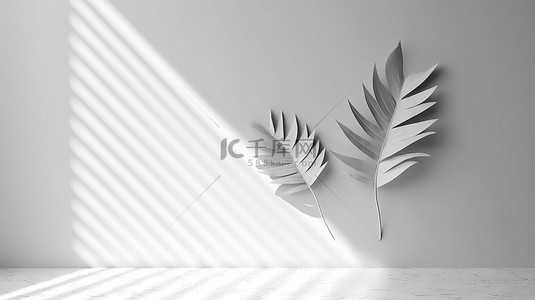 光影效果背景图片_带阴影抽象叶子的白墙的概念 3D 渲染