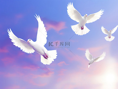 白鸽飞翔背景图片_可以看到一群白鸽在天空中飞翔