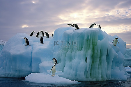 南极磷萃背景图片_南极冰山上的企鹅