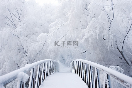 天桥背景图片_俄罗斯雪路冬天桥格明斯克