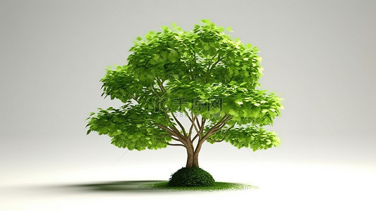 郁郁葱葱的绿树的 3d 渲染