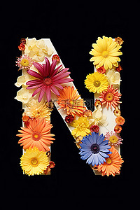字母配图背景图片_花卉形式的字母 n