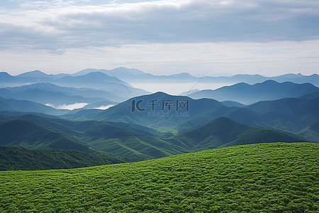 度蜜月的照片背景图片_从高山拍摄的照片是被群山包围的大片绿色田野
