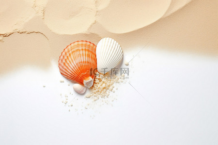 贝壳沙子背景图片_沙子与贝壳和海玻璃