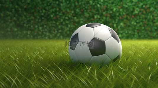 足球草地背景图片_3d 在带有剪辑路径的草地横幅上渲染足球