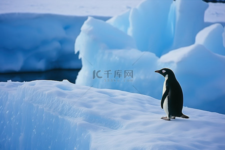 冰上嬉戏背景图片_企鹅站在冰上，周围是蓝色