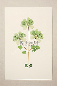 一张描绘三叶草植物的卡片有韩语和英语文字