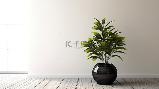 白色木地板空房间的真实 3D 渲染，黑色花瓶里有绿色植物