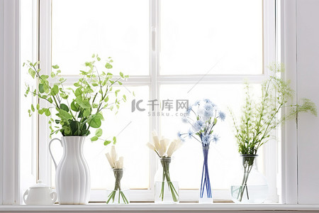 白色窗户背景图片_一扇空窗户，上面有各种白色杯子花瓶和插花