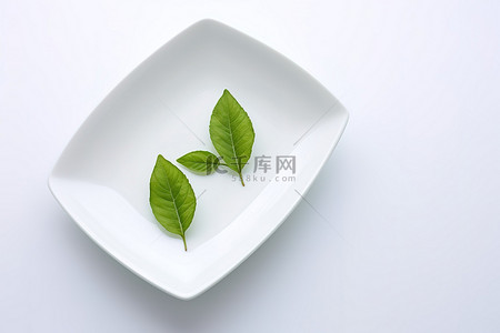 盘子白色背景背景图片_白色背景上装满绿叶的小盘子