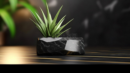 木地板场景背景图片_木地板上优雅的黑色大理石芦荟台阶讲台的 3D 渲染