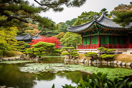 韩国的绿色池塘和色彩缤纷的建筑