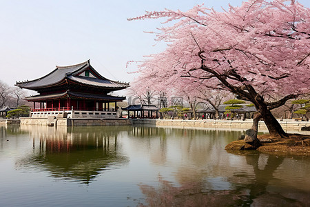 韩国花园和水源