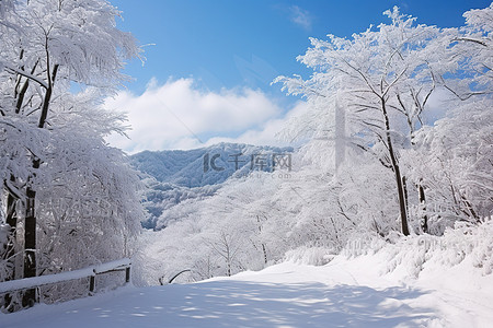 蓝色的小路背景图片_一条被雪覆盖的小路，树木环绕，群山环绕