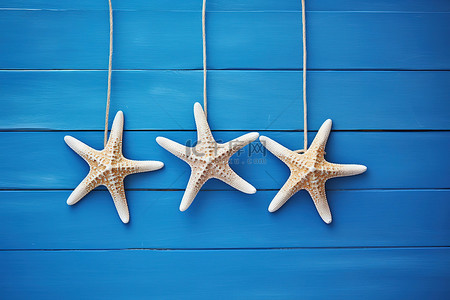 三只背景图片_垂悬在蓝色木墙上的三只海星