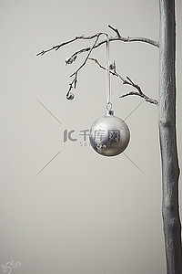 一根圣诞树枝，上面挂着两个装饰品