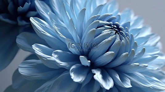 花卉抽象背景图片_3D 特写插图中盛开精致的蓝色牡丹或菊花