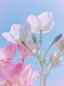 粉彩春天唯美的花朵设计图