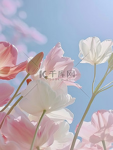 花朵背景图片背景图片_粉彩春天唯美的花朵背景图片
