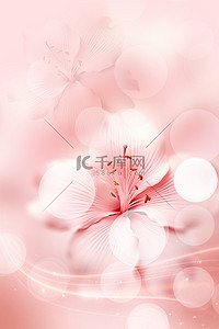妇女节花朵粉色弥散背景