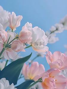 粉唯美背景图片_粉彩春天唯美的花朵设计