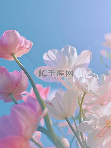 粉彩春天唯美的花朵背景素材