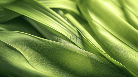 绿色简约曲线背景图片_绿色质感纹理抽象艺术背景图2