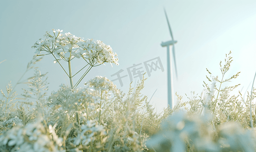 风电时代环球新能源