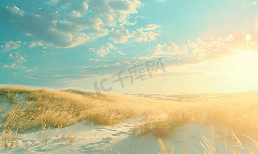 草原蒙古包摄影照片_夏天的内蒙古锡林浩特的黄花沟草原风光