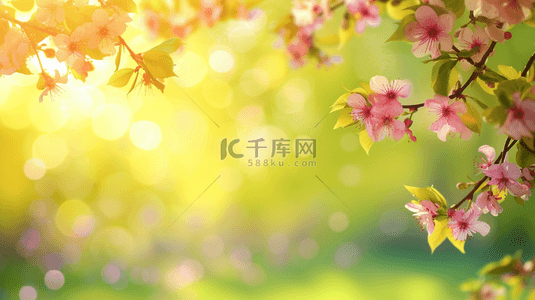 春天的小花背景图片_春天阳光照射下小花绽放的图片10