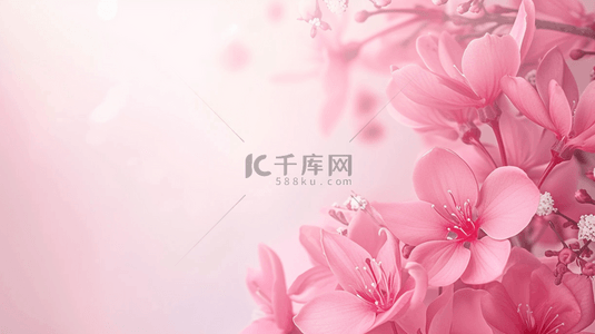 标志辅助图形背景图片_粉红色玫瑰女神节舞台唯美的背景19