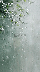 谷雨春背景图片_春天清明时节雨中枝叶背景