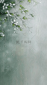 春天清明时节雨中枝叶背景