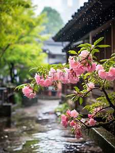 雨水背景素材背景图片_江南风光古镇的春天雨水背景素材