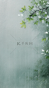 雨水背景图片_春天清明时节雨中枝叶背景图片