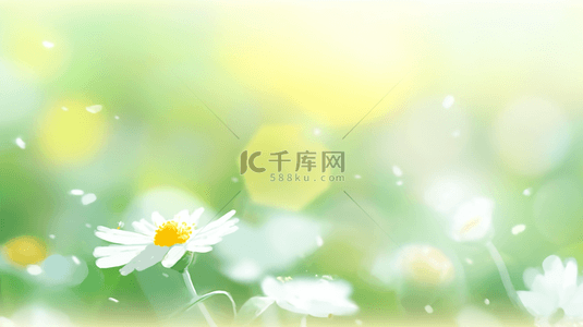 绿色雏菊背景图片_清新春天白色小雏菊虚化朦胧光效背景