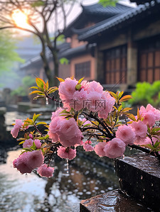 雨水设计背景图片_江南风光古镇的春天雨水设计