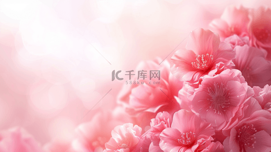 鲜花饼玫瑰花背景图片_粉红色玫瑰女神节舞台唯美的背景23