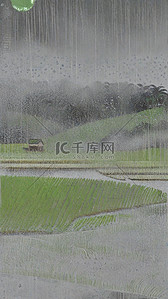 清新春天雨中风景背景图片