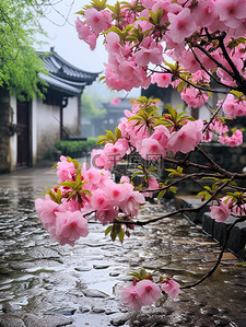 江南风光古镇的春天雨水设计