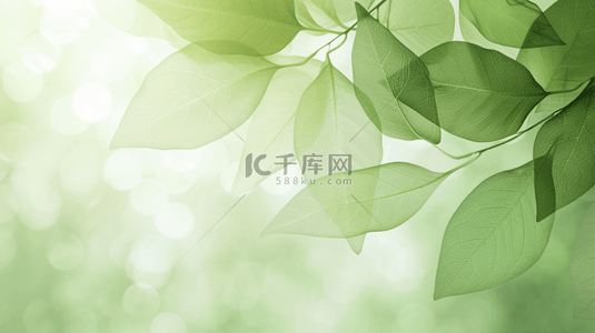 春天绿色平面树叶纹理背景图18