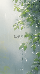 清明时节雨背景图片_春天清明时节雨中枝叶素材