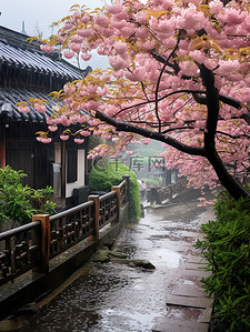 江南风光古镇的春天雨水背景图