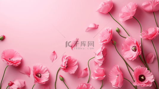玫瑰文案背景图片_粉红色玫瑰女神节舞台唯美的背景18