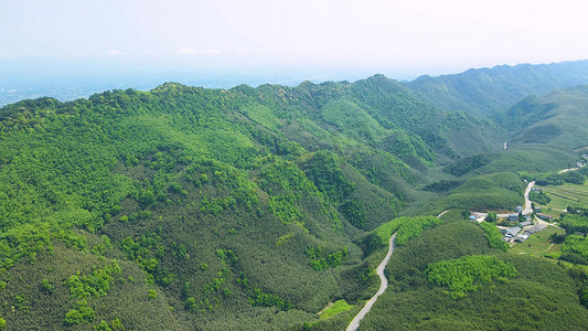 重庆山摄影照片_重庆百里竹海大山竹林桐子花航拍